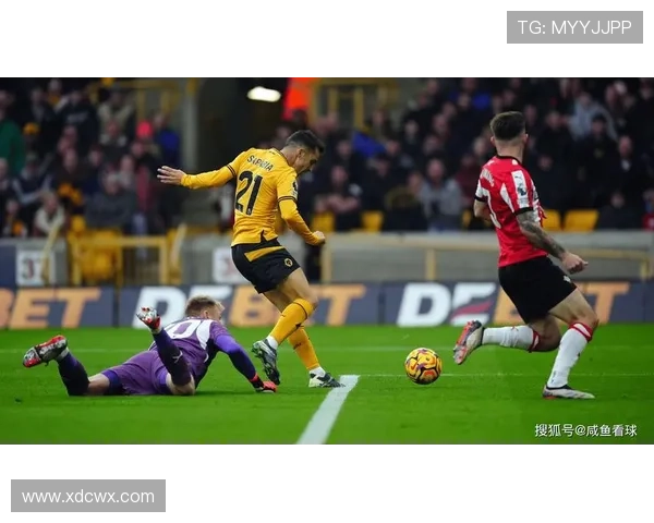 南安普顿新教练上任，球队期待重回英超联赛巅峰状态