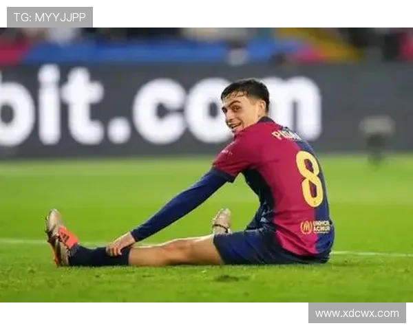 佩德里：半空间组织与串联核心