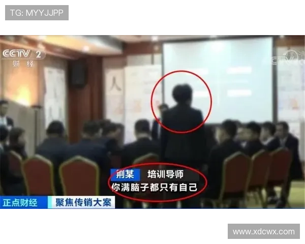 教练技术犯规规则解析：怎么判与具体处罚标准